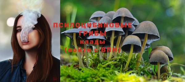 ALPHA-PVP Абинск